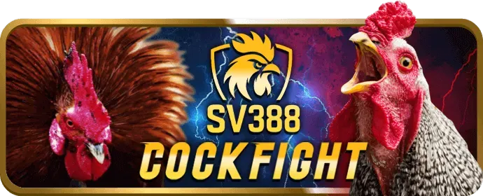 Phương thức thanh toán nhanh chóng zalv tbbb